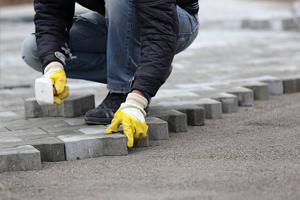 Paver Guy's Pressure Cleaning